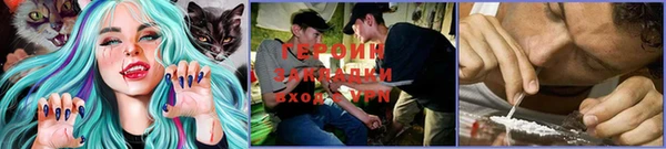 ПСИЛОЦИБИНОВЫЕ ГРИБЫ Алексин